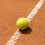 roland garros vendredi