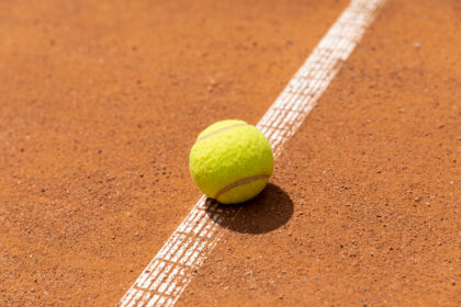 roland garros vendredi