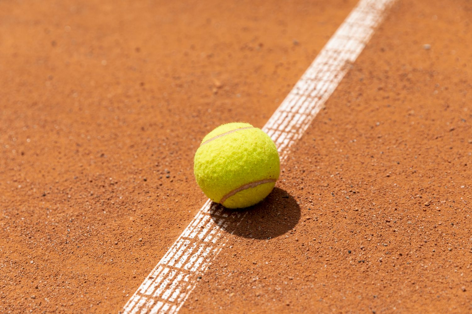 roland garros vendredi