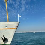 greta thunberg bateau aides gaza