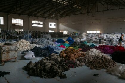 loi anti fast fashion shein temu