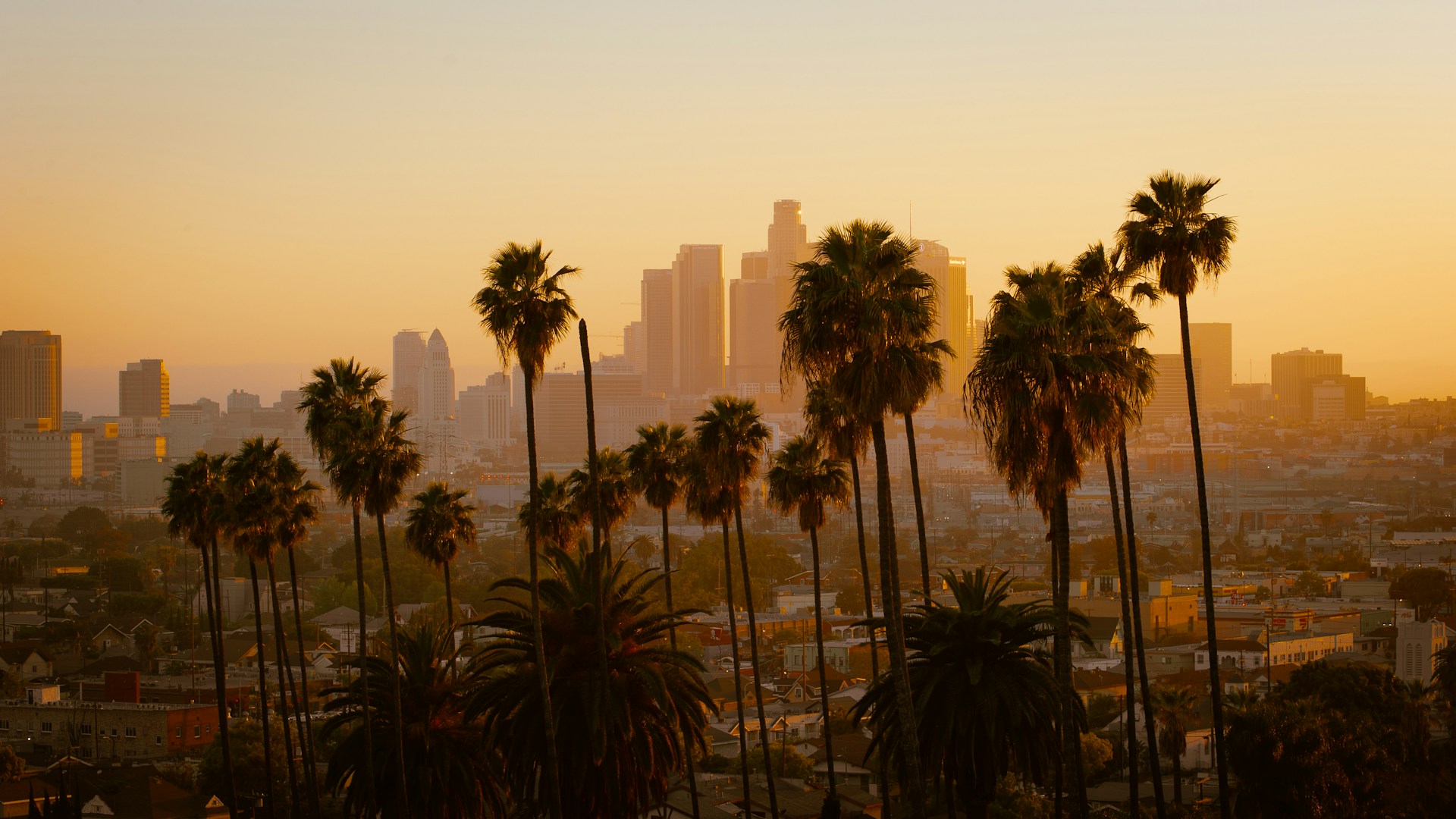 politique migratoire los angeles